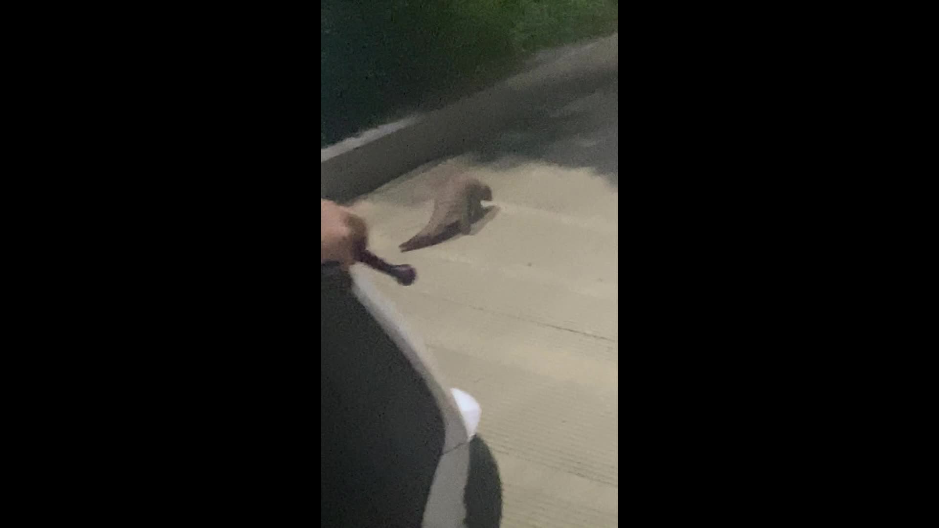 ชาวกวางตุ้งเจอ 'ลิ่นจีน' เดินงงหลงทางกลางเมือง