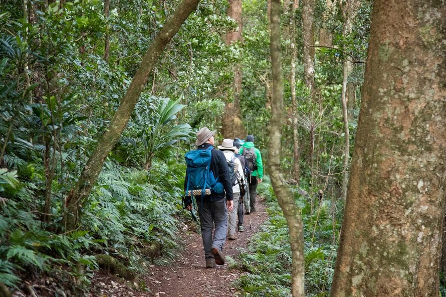 ออสเตรเลียเตือนภัย 'เห็ดหมวกมรณะ' ในซิดนีย์ พิษแรงอันตรายถึงแก่ชีวิต