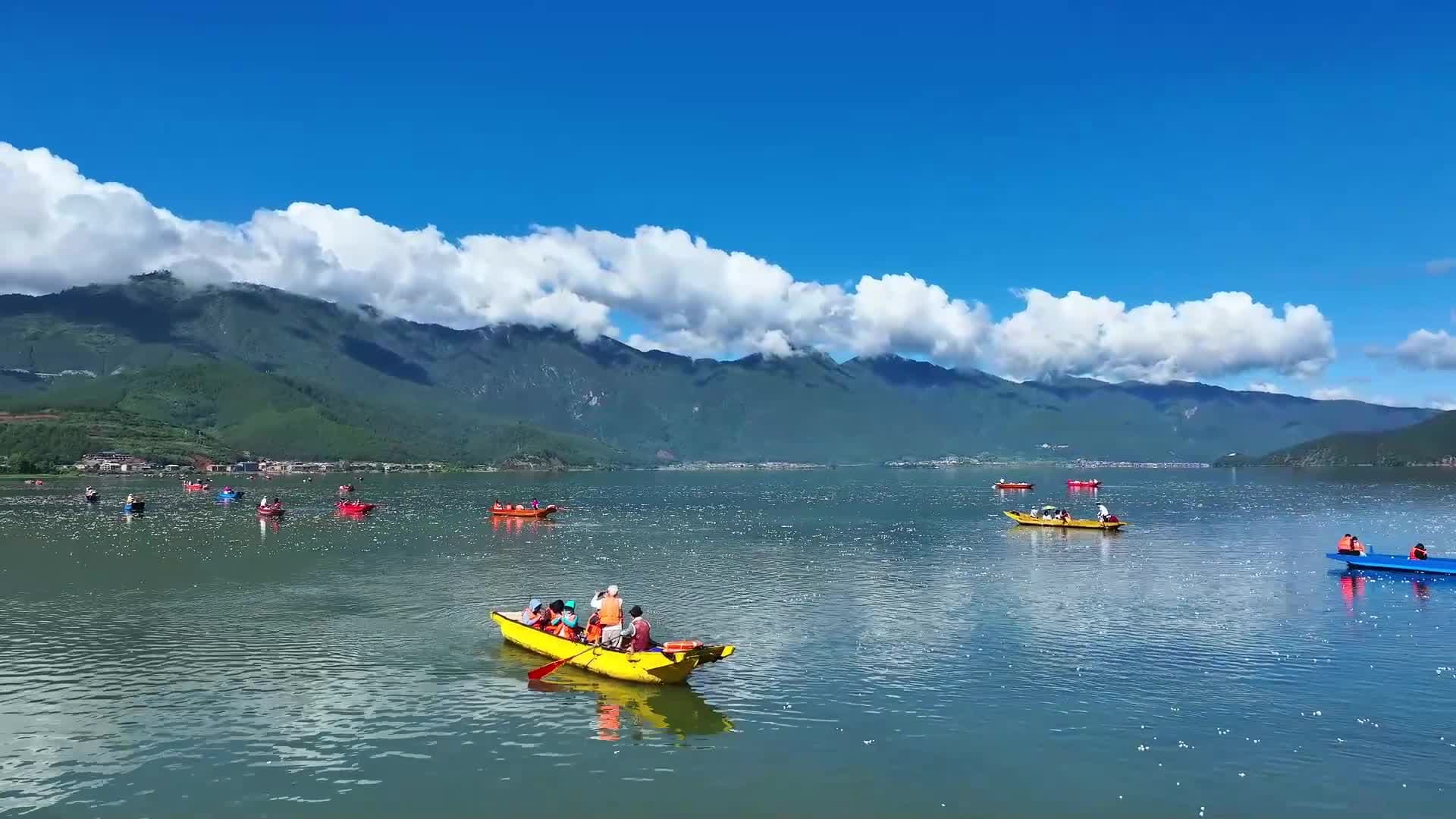 ล่องเรือชม 'ดอกไห่ไช่ฮวา' ผลิบานกลางทะเลสาบในยูนนาน