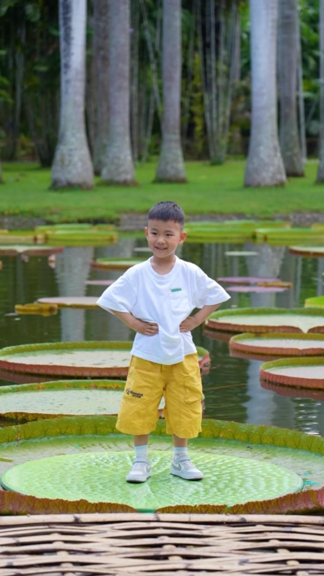 หวาดเสียว! สัมผัสประสบการณ์ 'ยืนบนใบบัว' ในสิบสองปันนา