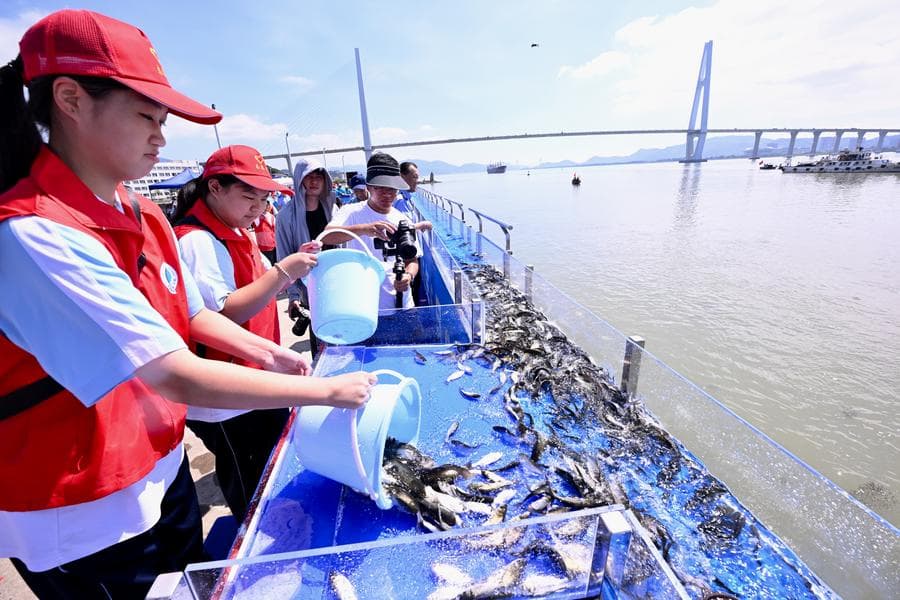 ฝูเจี้ยนปล่อย 'ปลาน้ำจืด-ปลาทะเล' ลงปากแม่น้ำ รวม 2.85 ล้านตัว