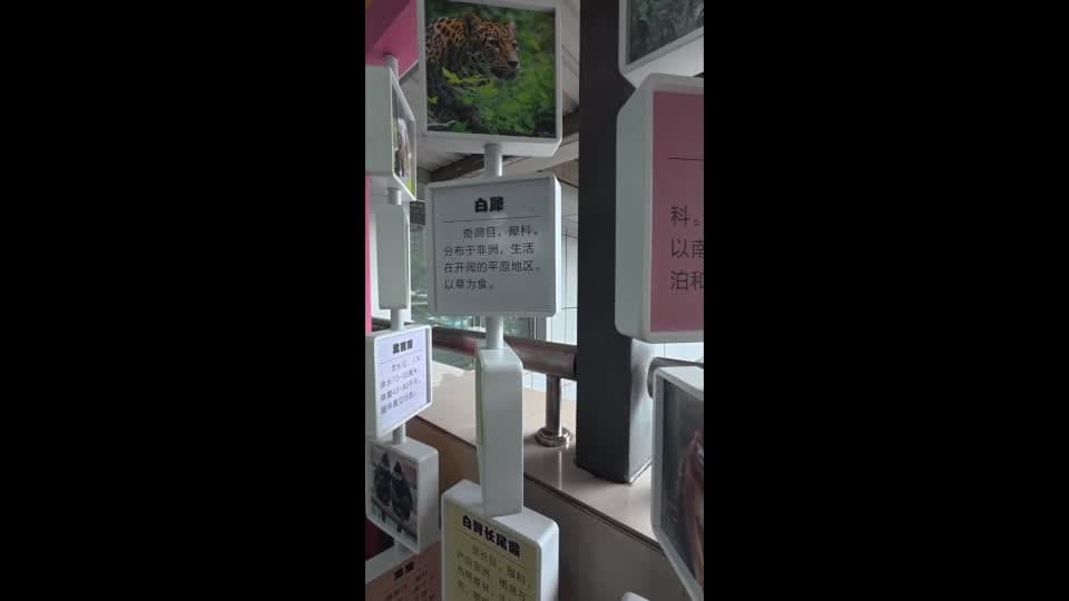 ฉงชิ่งเปิดตัว 'สถานีรถไฟใต้ดินเป็นมิตรกับเด็ก' แห่งแรก