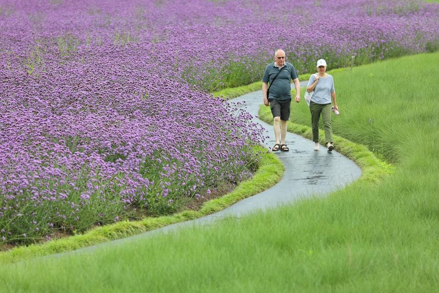 เจ้อเจียงเปิดตัว 'แพลตฟอร์มท่องเที่ยว' พลัง AI เอื้อนักท่องเที่ยวต่างชาติ