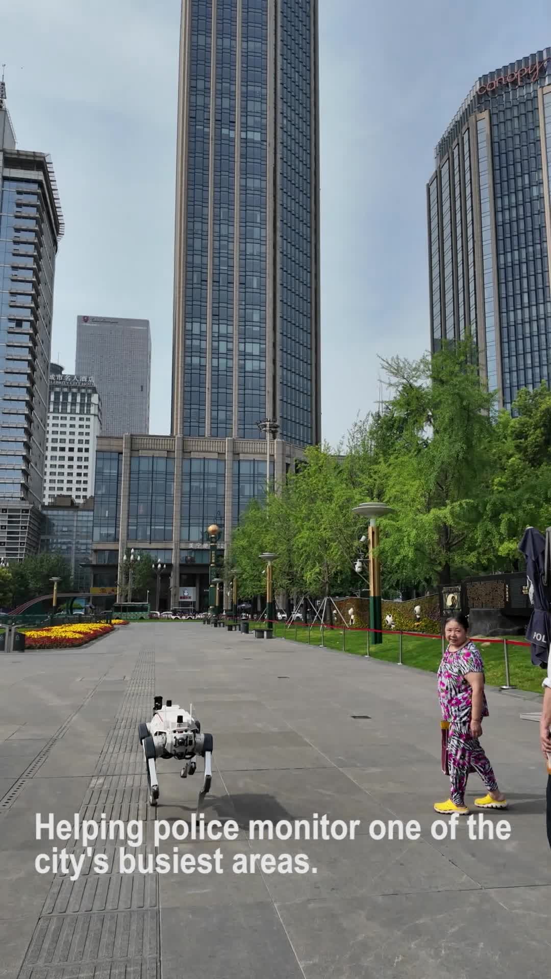 หุ่นยนต์สุนัข-หุ่นยนต์สองล้อ' ช่วยงานลาดตระเวนในเฉิงตู