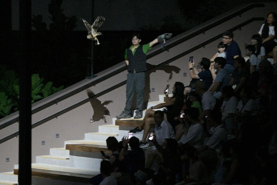 เยือน 'ไนท์ซาฟารีสิงคโปร์' ที่เที่ยวส่องสัตว์ยามค่ำคืน