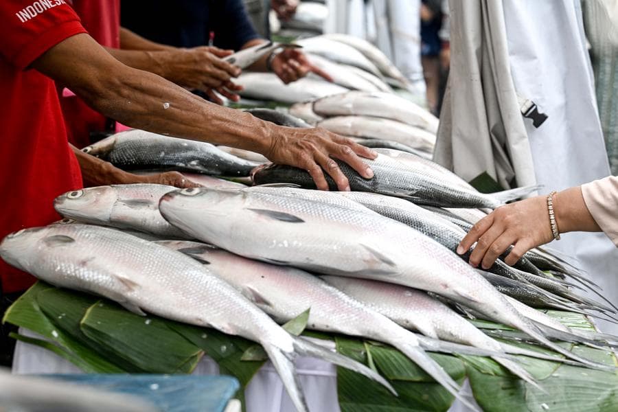 อินโดนีเซียส่งออก 'อาหารทะเล' สู่สหรัฐฯ-ไทย 98 ตัน