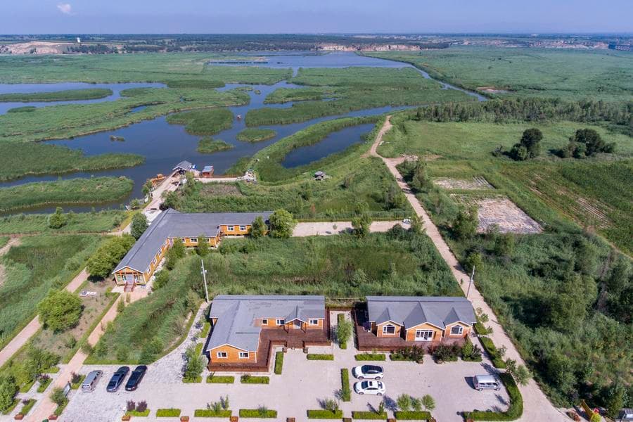 ซานซีพบ 'รังนกกระสาขาวตะวันออก' หายากบนเสาไฟฟ้าแรงสูง