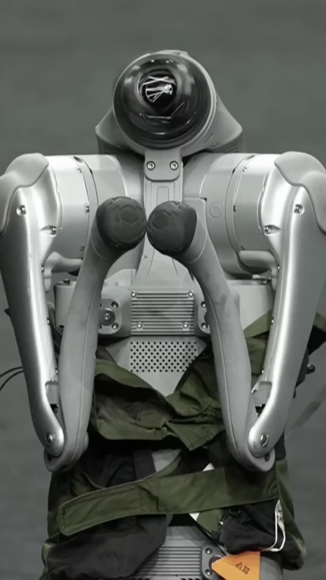 หุ่นยนต์สุนัข' ร่วมเดินแบบในเทียนจิน แฟชั่นวีค