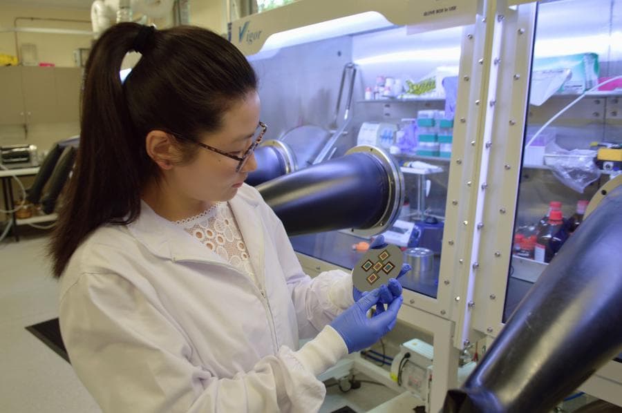 นักวิจัยออสเตรเลียใช้ AI แปลง 'คลื่นสมอง' เป็น 'ข้อความ