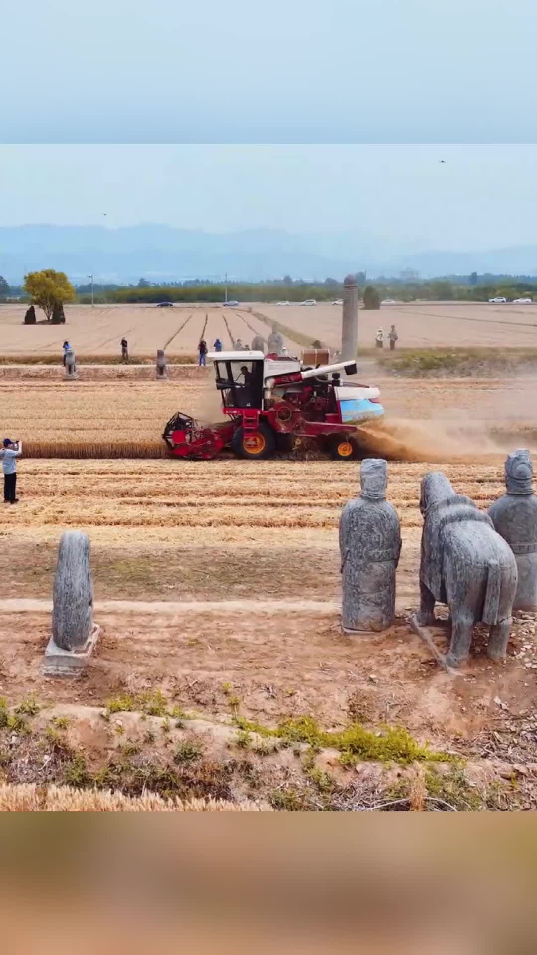 หุ่นผู้พิทักษ์หินปั้น' เก่าพันปี เฝ้าดูงานเก็บเกี่ยวในเหอหนาน