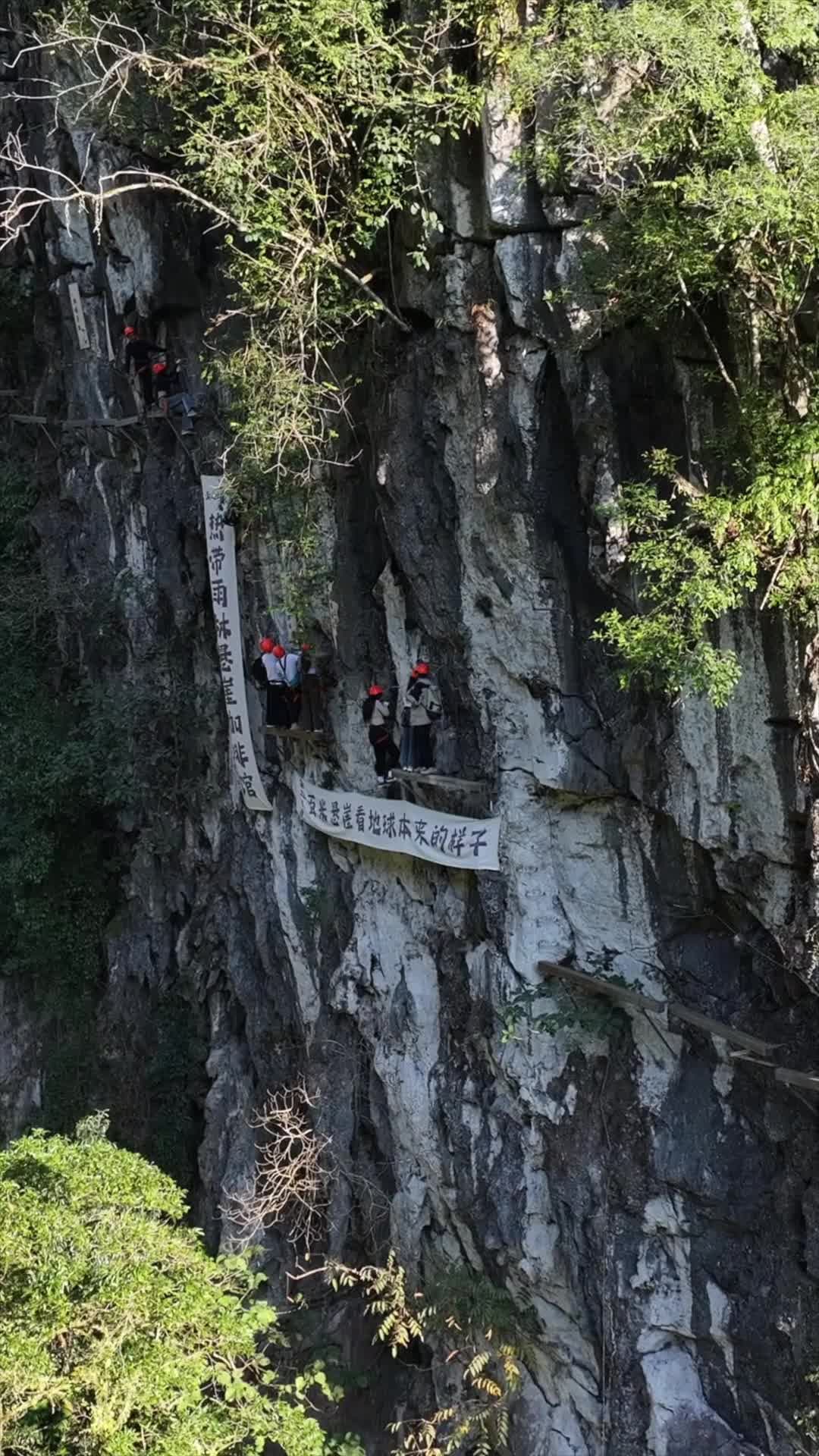 แค่เห็นก็ขาสั่น! ปีนผาสูง 300 เมตร จิบกาแฟเหนือป่าฝนในยูนนาน