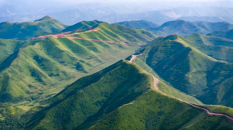 ฟาร์มป่าหม่าตงเขียวชอุ่มกลางเทือกเขาในหนิงเซี่ย