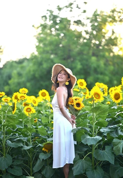 ฤดู 'ทุ่งทานตะวัน' ผลิบานเหลืองอร่ามในปักกิ่ง