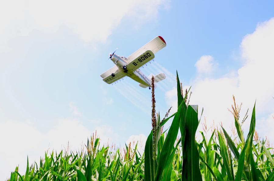 เครื่องบิน-เฮลิคอปเตอร์' ช่วยงานปกป้องพืชผลในเฮยหลงเจียง
