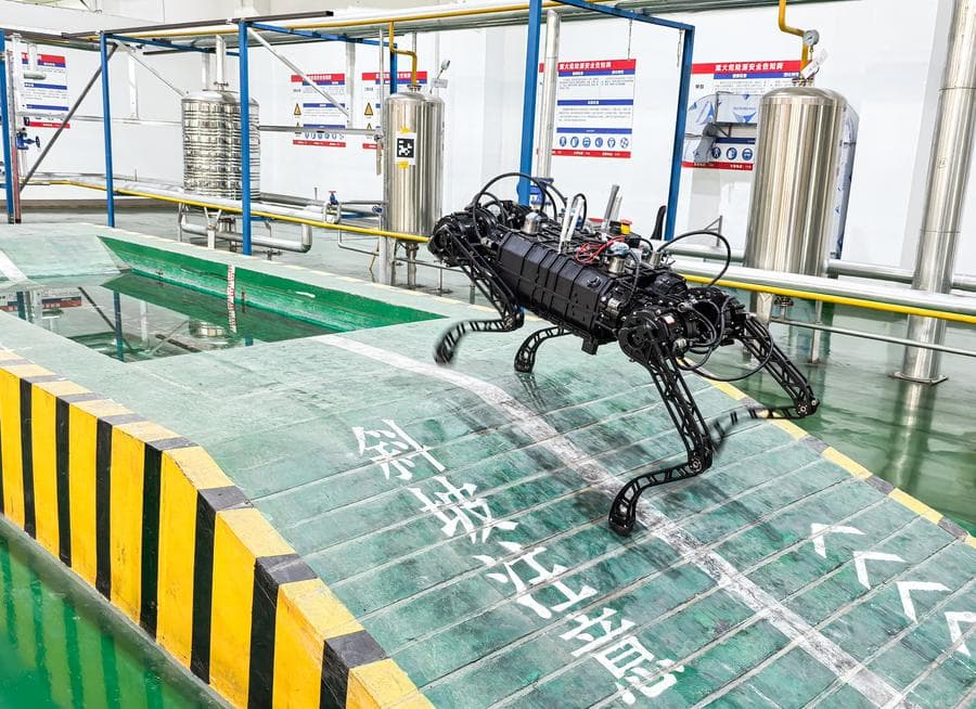 แบล็ค แพนเธอร์' หุ่นยนต์สุนัขจีน วิ่งเร็วทะลุ 10.3 เมตร/วินาที เฉียดความเร็วยูเซน โบลต์