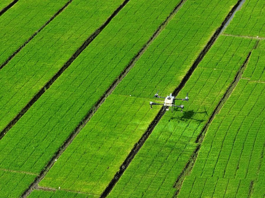 เกษตรกรเจนซี' ในจีนใช้เทคโนฯ ขั้นสูง ทำเกษตรแบบทันสมัย