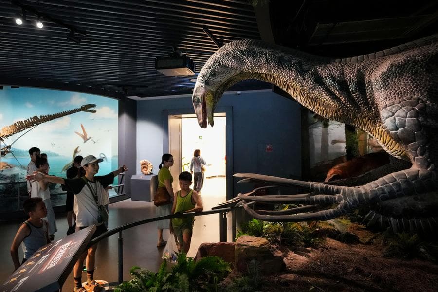 ผู้คนเยี่ยมชม 'พิพิธภัณฑ์แหล่งฟอสซิล' คึกคักในยูนนาน