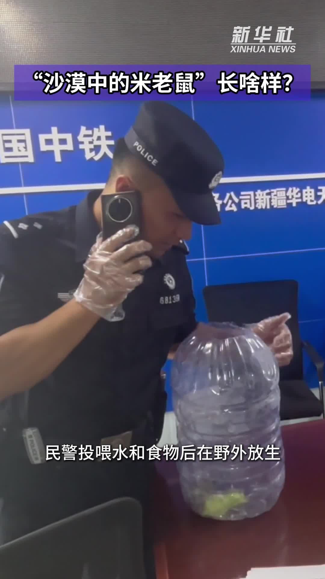 ชาวบ้านซินเจียงเจอ 'มิกกี้เมาส์แห่งทะเลทราย' ตกหลุมเสาเข็มไซต์ก่อสร้าง