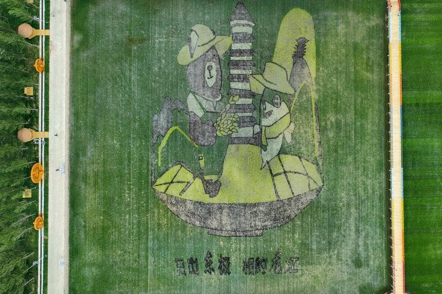 เมืองฝู่หย่วนพัฒนาการเกษตร ผสานพลังดิจิทัล-นิเวศยั่งยืน