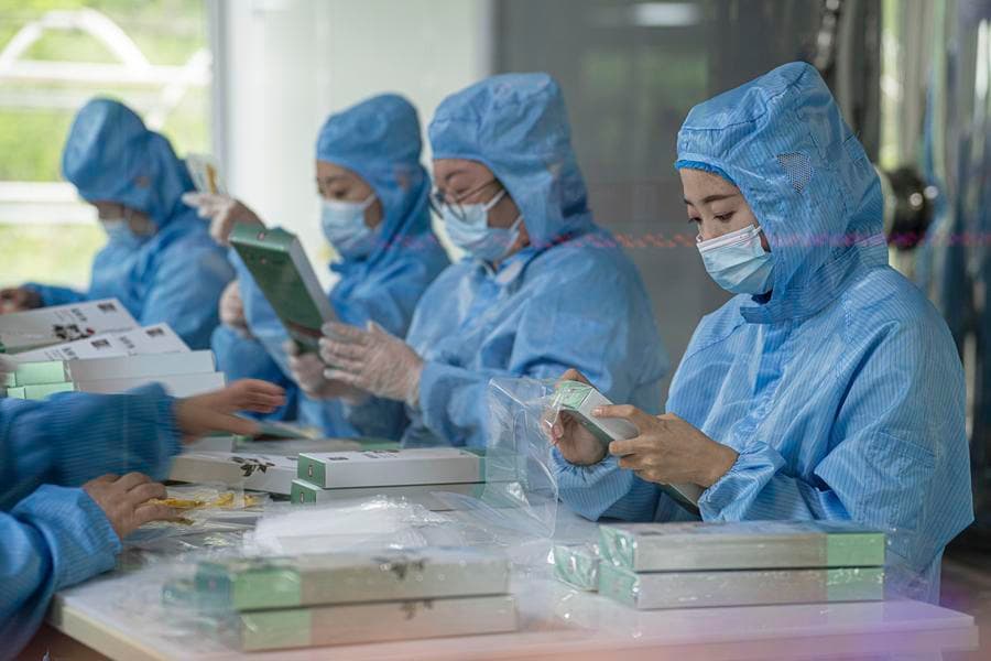 เทคโนโลยีหนุน 'การเกษตรยุคใหม่' เสริมพลังฟื้นฟูชนบทในจี๋หลิน