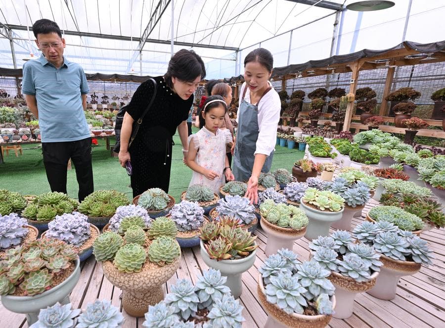 สาวจีนหลงใหล 'ไม้อวบน้ำ' ปูทางสร้างรายได้ใหม่ในฝูเจี้ยน