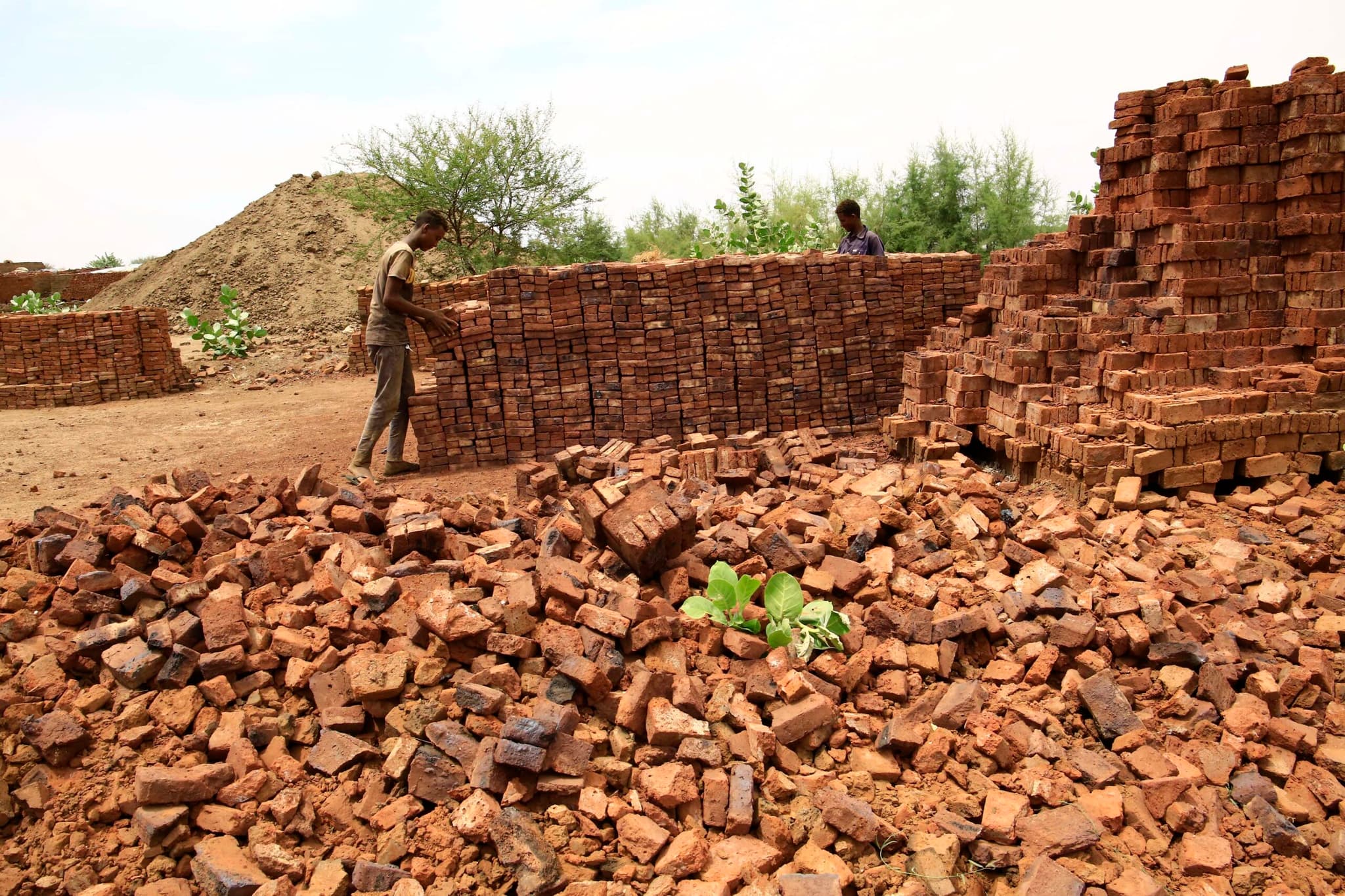 อิฐโคลนและสองมือ ชาวซูดานลุยสร้างบ้านใหม่หลังความขัดแย้ง