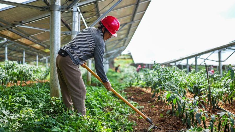 กุ้ยโจวงัดจุดแข็งด้านสิ่งแวดล้อม ช่วยขับเคลื่อนการพัฒนา
