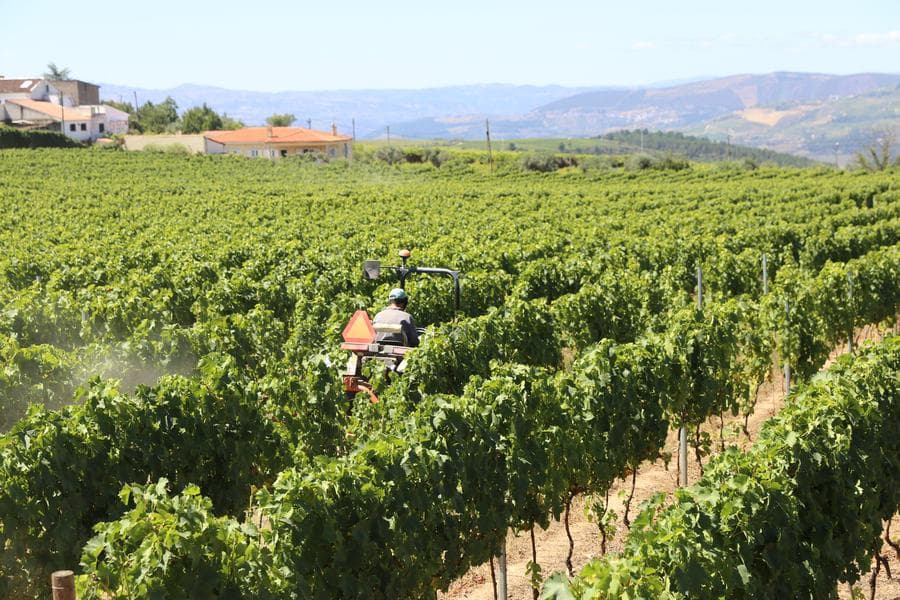 โปรตุเกสเผย 'ไฟป่า' ผลาญพื้นที่เพิ่มสองเท่าใน 5 วัน