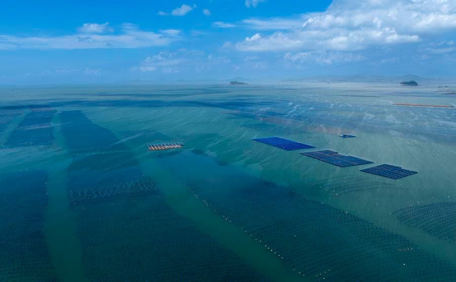 ส่อง 'ฟาร์มเลี้ยงสัตว์น้ำ' กลางทะเลลึก-ห่างไกลในฝูเจี้ยน
