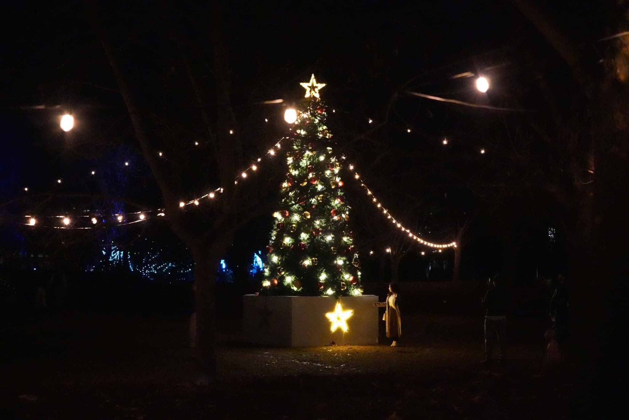 ชาวออสซี่ฉลอง 'คริสต์มาสเดือนก.ค.' อบอุ่นใจในฤดูหนาว