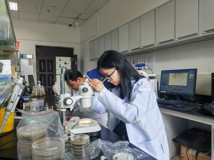 จีน-ไทยร่วมมือการเกษตร ส่งเสริม 'เทคโนโลยีสีเขียว' งอกงามข้ามพรมแดน