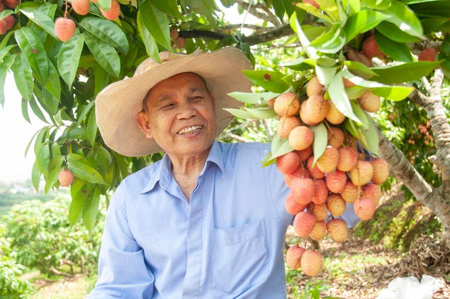 เวียดนามตั้งเป้าให้ 'ผู้ใหญ่' 70% มีลายเซ็นดิจิทัลภายในปี 2030