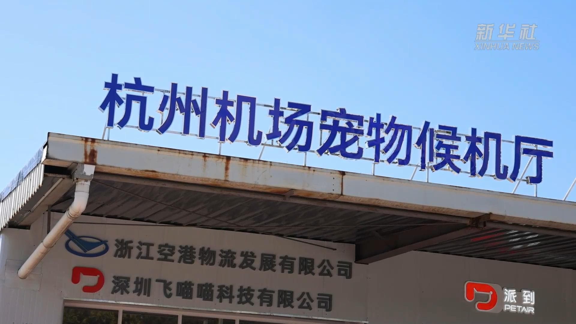 สนามบินหางโจวเปิดห้องรับรอง 'นักเดินทางขนปุย' สะดวกสบายทุกเที่ยวบิน