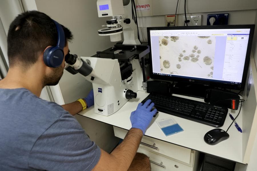 นักวิจัยคาด 'ไวรัส' พบในเชื้อรา ทำให้การติดเชื้อรุนแรงยิ่งขึ้น