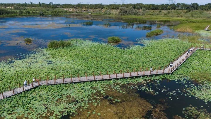 เที่ยวชมธรรมชาติ 'พื้นที่ชุ่มน้ำ' แห่งใหม่ในซินเจียง