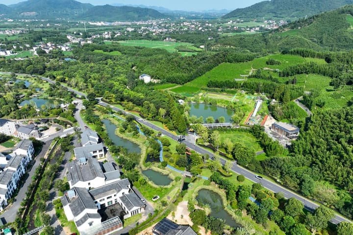 หมู่บ้านป่าเขียวในหางโจว ผสาน 'ชา+ท่องเที่ยว' พัฒนาเศรษฐกิจ