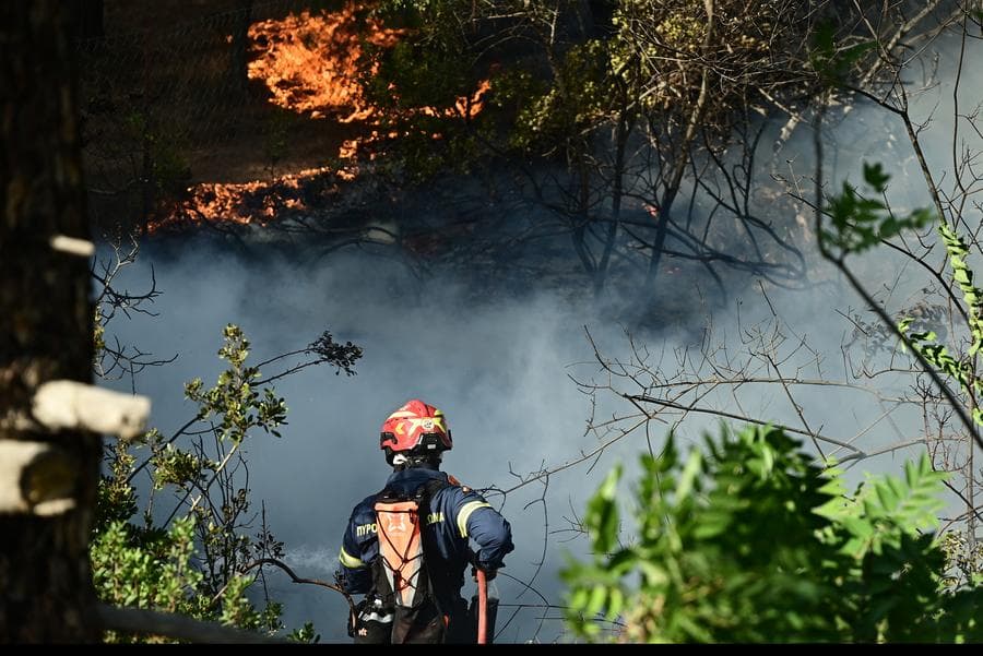 ไฟป่ายุโรป' ผลาญพื้นที่กว่า 5 ล้านไร่ มากกว่าปีก่อน 4 เท่า