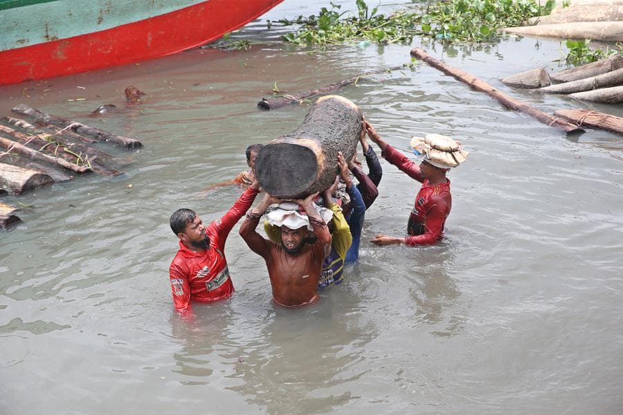 คนงานบังกลาเทศแบกขน 'ไม้ซุง' ขึ้นฝั่ง เตรียมผลิตเครื่องเรือนเครื่องใช้