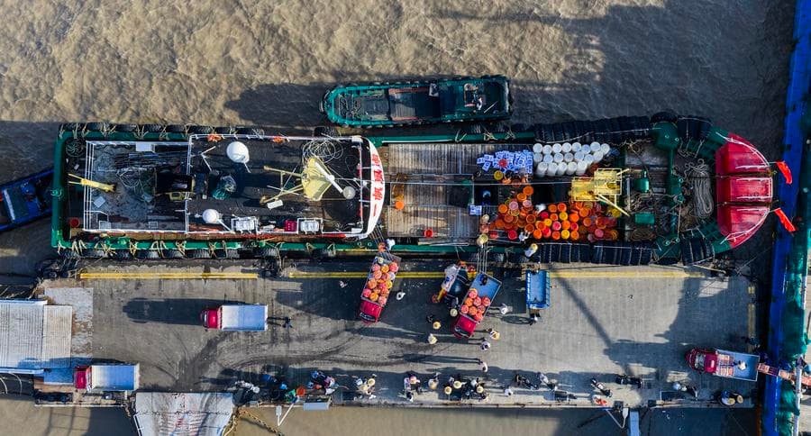 ฤดูจับ-ขาย 'ปูม้า' คึกคักในเจ้อเจียง