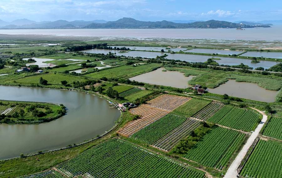 ฝูโจวมุ่งอนุรักษ์ 'พื้นที่ชุ่มน้ำ' ขึ้นแท่นเมืองพื้นที่ชุ่มน้ำนานาชาติ