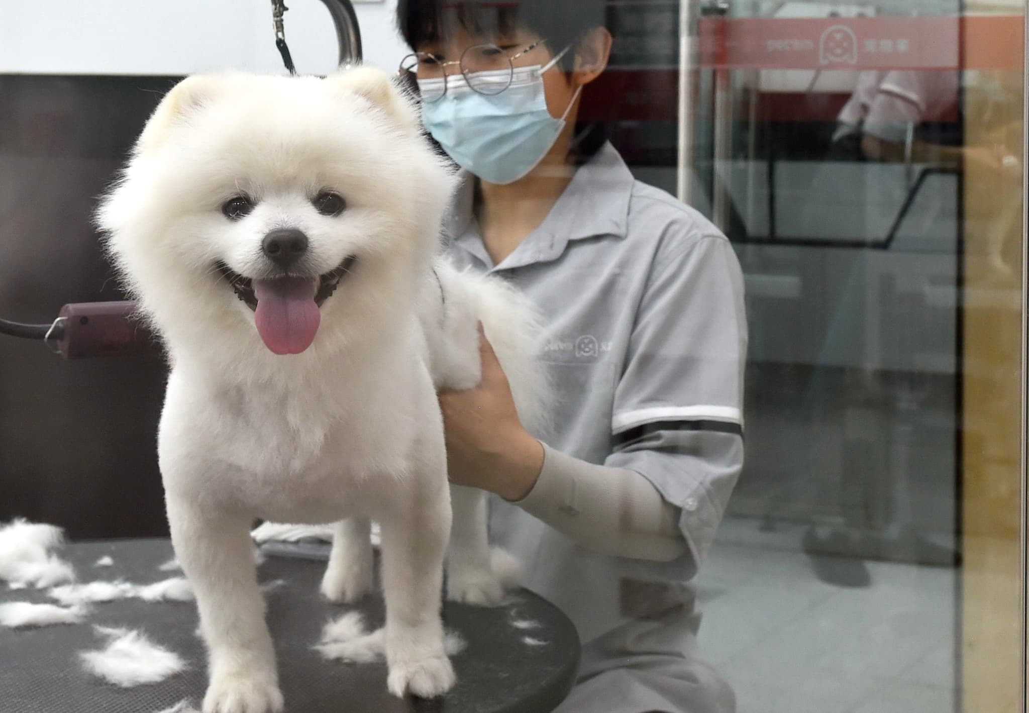 ไห่หนาน แอร์ไลน์ส นำร่องบริการพา 'สัตว์เลี้ยงนั่งห้องโดยสาร' บนเที่ยวบินปักกิ่ง-กทม.