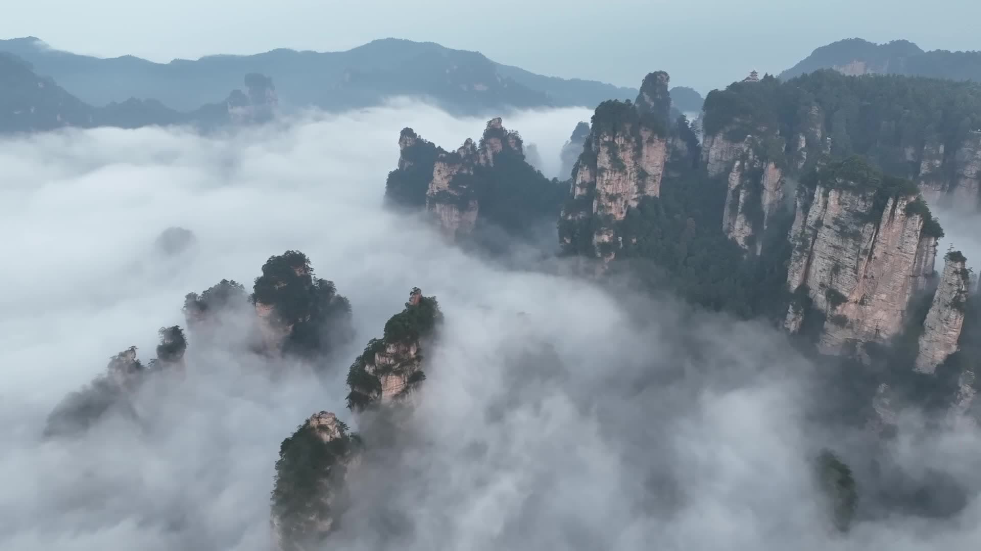 สายฝนนำพา 'ทะเลเมฆหมอก' ห่มคลุมป่าเขาจางเจียเจี้ย