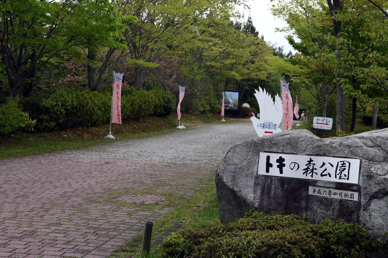 เกาหลีใต้ประท้วงญี่ปุ่น 'เมินกล่าวถึงแรงงานเกาหลี' ในพิธีรำลึกเหมืองทองเกาะซาโดะ