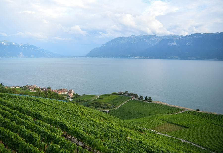 UN เผยชั้นโอโซนโลกกำลังฟื้นตัว รูโหว่มีขนาดเล็กลง