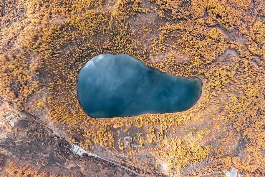 วนอุทยาน 'อาเอ่อร์ซาน' ยามสารทฤดู แมกไม้เปลี่ยนสีเหลืองอร่าม