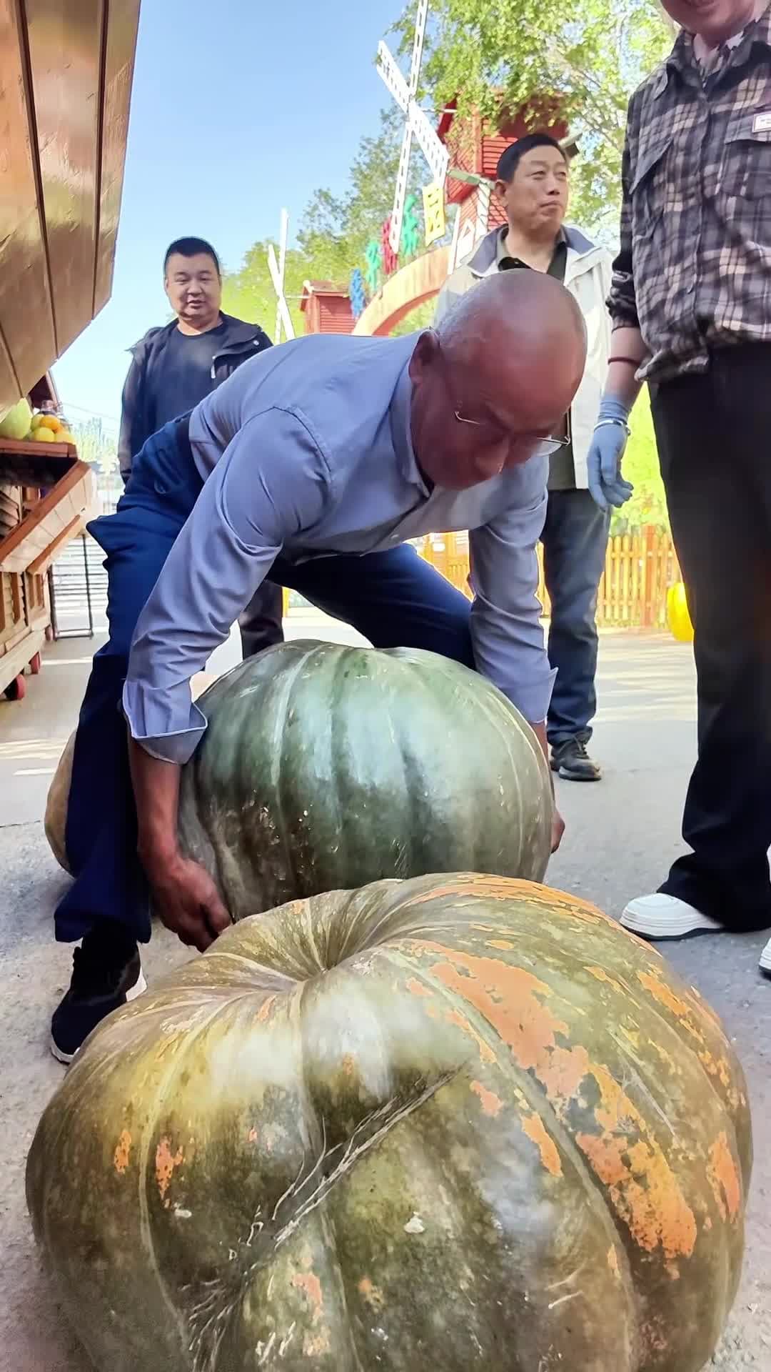 เกษตรกรจีนโชว์ 'ฟักทอง' ลูกยักษ์ หนัก 40 กก.