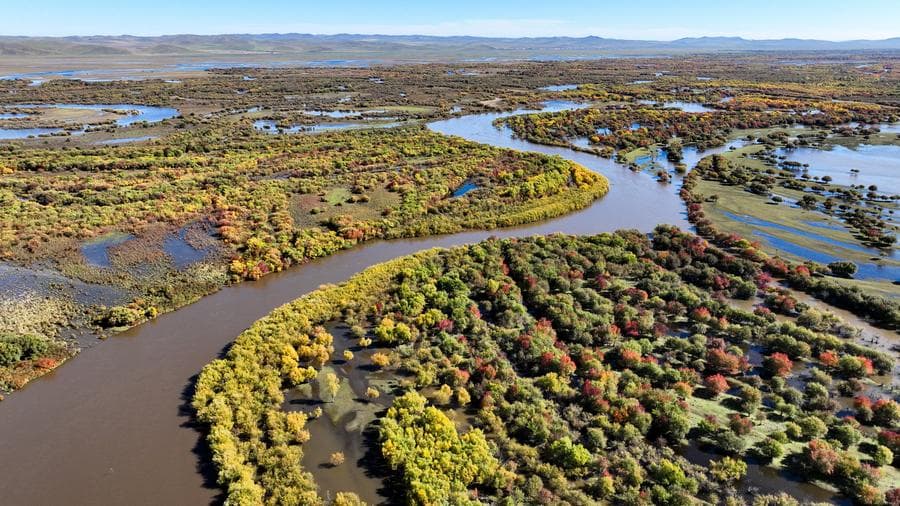 เยือนยล 'พื้นที่ชุ่มน้ำ' มองโกเลียใน ห้วงยามฤดูใบไม้ร่วง