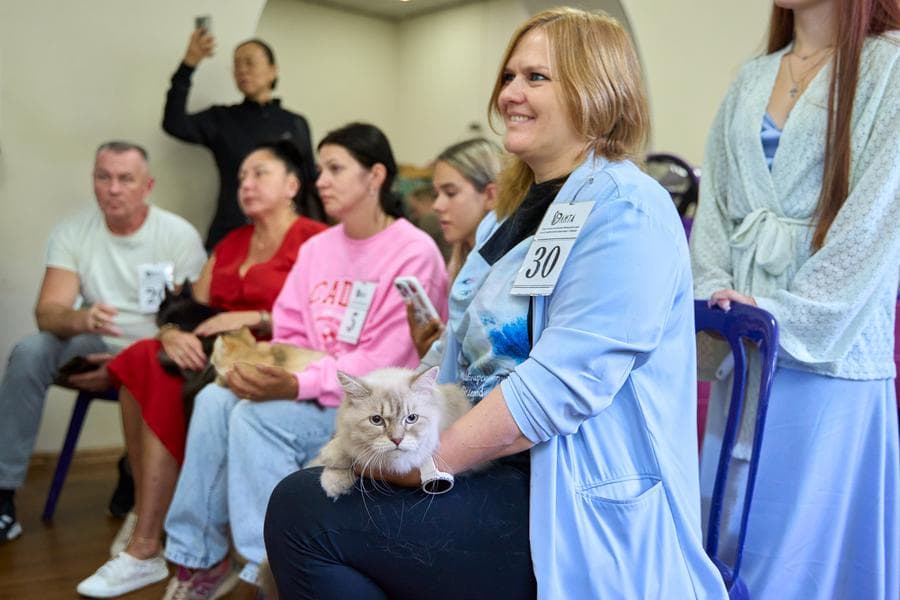 แมวเหมียวหลากสายพันธุ์ โชว์ตัวอวดขนสวยในรัสเซีย