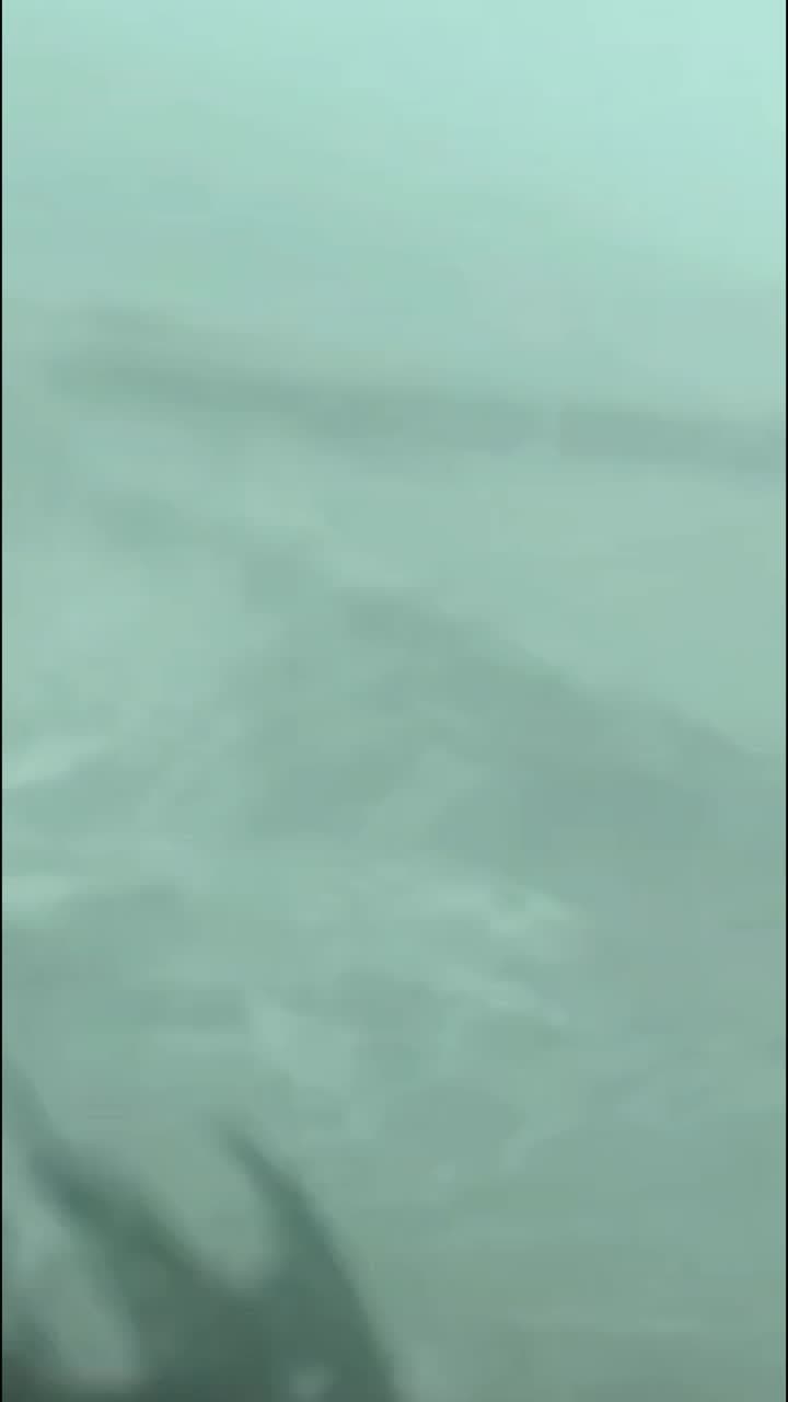 ไต้ฝุ่นรากาซาถล่มกวางตุ้ง สร้างสถิติ 'ลมกระโชกแรง' 67 เมตรต่อวินาที