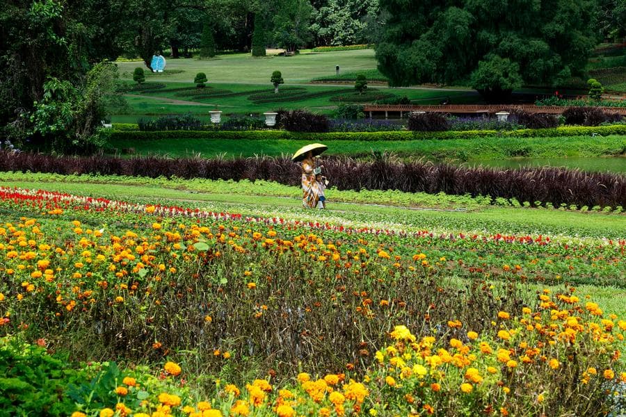 เมียนมาส่งออก 'น้ำผึ้ง' สี่เดือน ทำรายได้กว่า 1 ล้านดอลล์